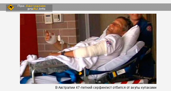 В Австралии 47-летний серфингист отбился от акулы кулаками