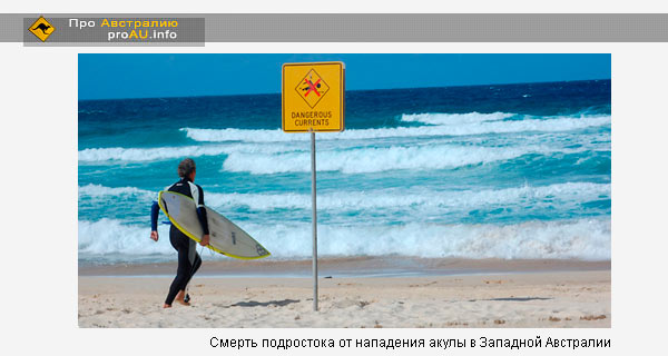 Смерть подростока от нападения акулы в Западной Австралии