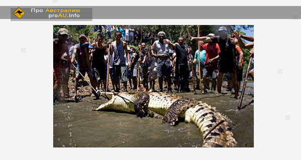 Охота на крокодилов