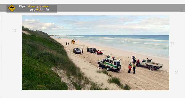 Австралийский серфер погиб в результате нападения акулы Австралийский серфер погиб в результате нападения акулы