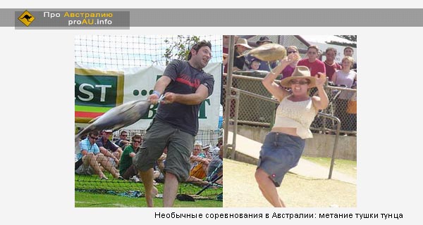 Необычные соревнования в Австралии: метание тушки тунца