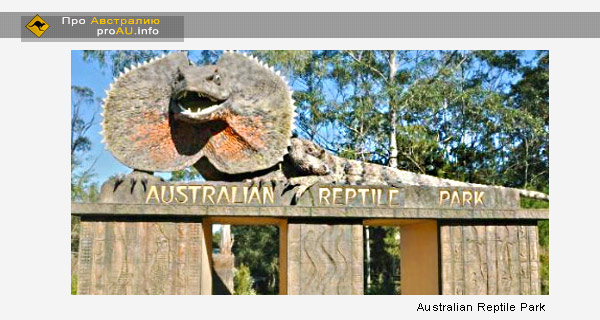 Australian Reptile Park Australian Reptile Park