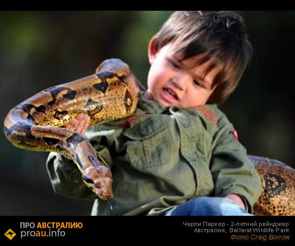 Чарли Паркер - 2-х летний смотритель за змеями