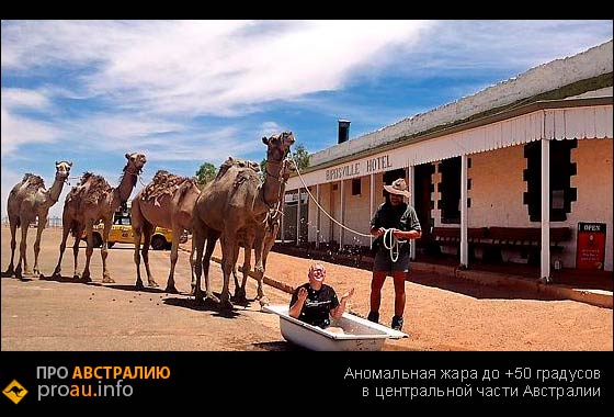 Аномальная жара до +50 градусов в центральной части Австралии