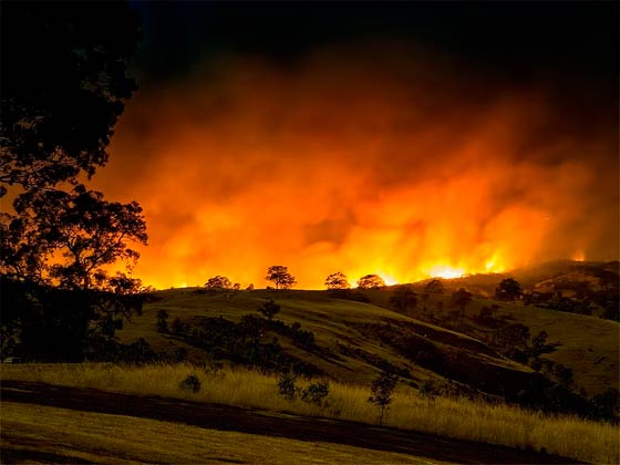 Пожары охватили штаты Виктория и Южная Австралия.