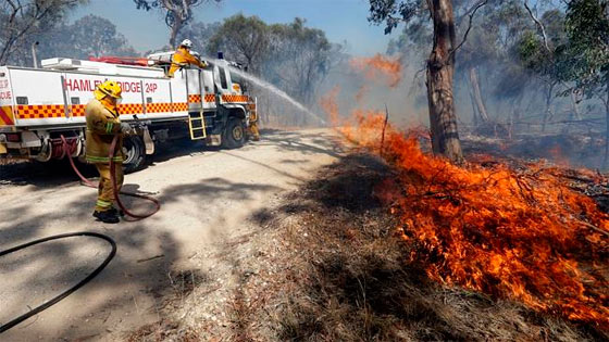 Пожары охватили штаты Виктория и Южная Австралия